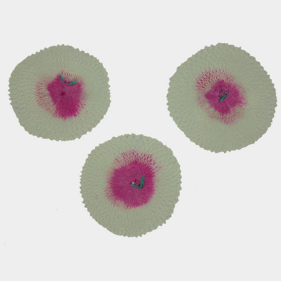 Coleman Mantles - 3 Pack 3 Coleman Mantles - 3 Pack