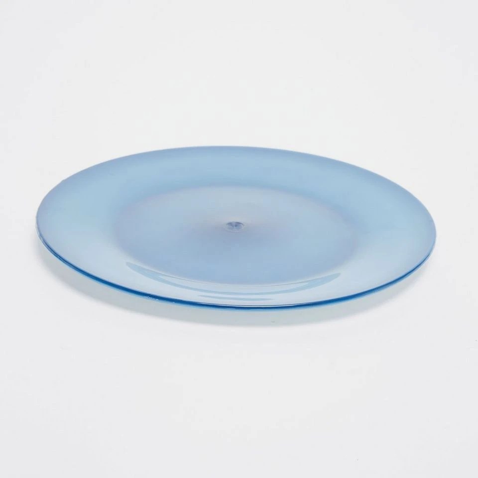 Deluxe Plastic Plate 3 Deluxe Plastic Plate