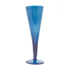 Deluxe Plastic Champagne Flute -Berghaus Store go 361359 z